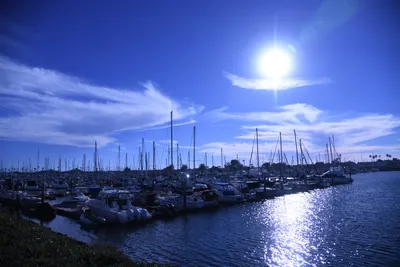 DSC_0876 (Large).JPG